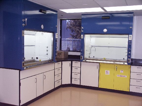 New-Tech Bench Top Fume Hood Picture #3